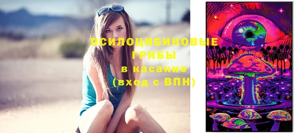 трава Нязепетровск