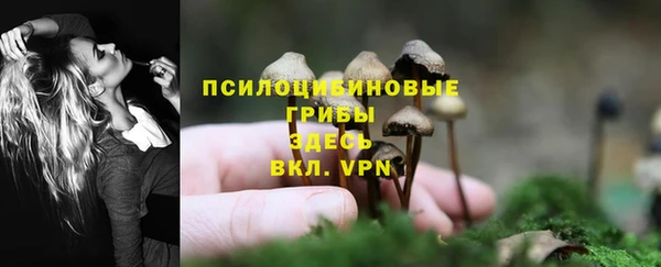 спиды Нягань